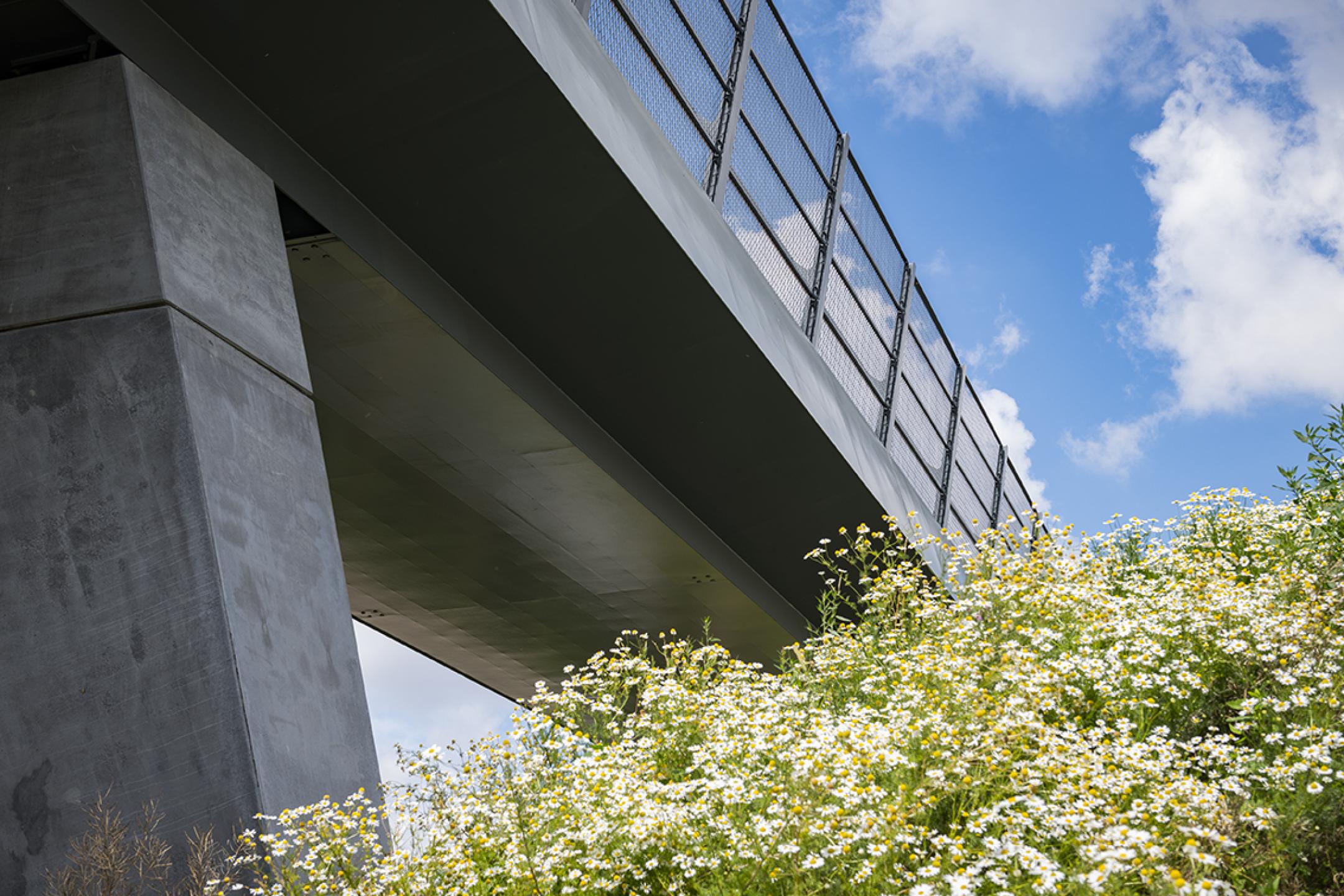 LR-Brug-Sterk-Beton-bij-Den-Haag-[limit]-(19)